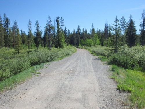 GDMBR: Pedaling east and the road is still in great shape.